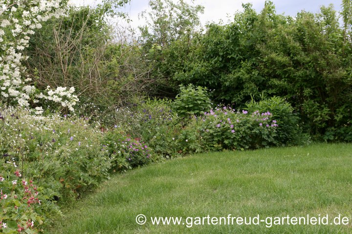 Anlage mit Geh&ouml;lzen, Stauden und Grasfl&auml;che