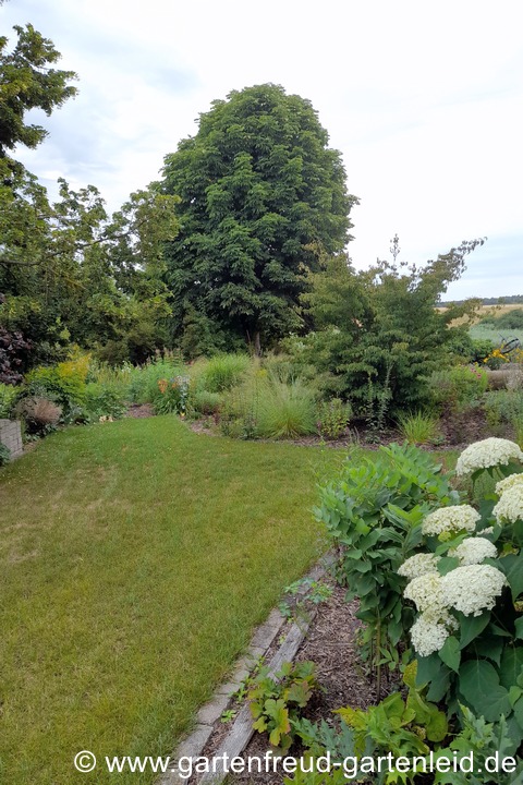 &hellip; oft Staudenpflanzungen weichen