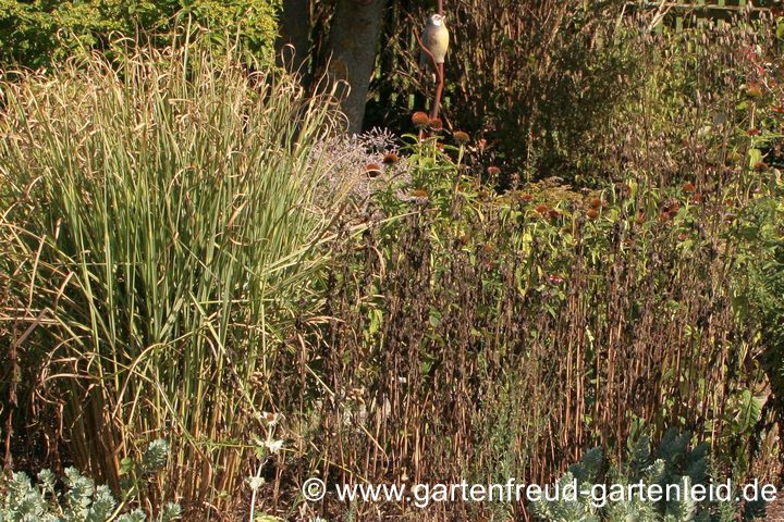 So sehen unsere Staudenpflanzungen in manchen Sommern aus