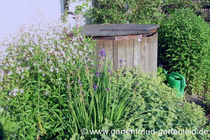 Regentonne im Garten