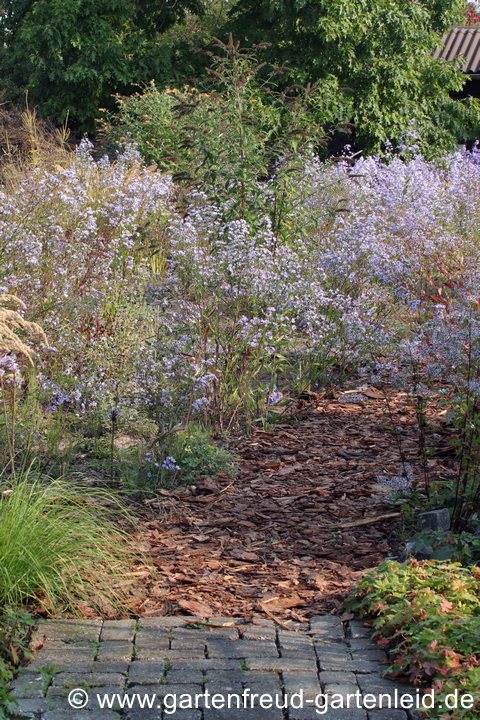 Haupt- und Nebenwege: Pflaster und Rinde