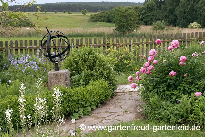 Kurze Hecke aus Buxus sempervirens 'Suffruticosa' – Einfassungs-Buchs