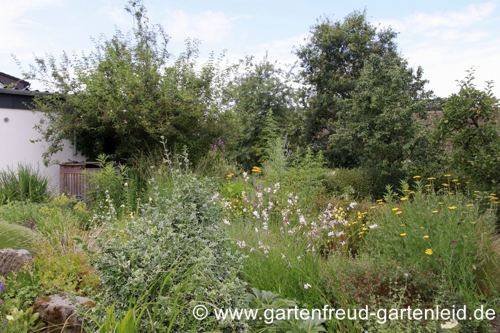 &Uuml;ber den Steingarten im Fr&uuml;hsommer