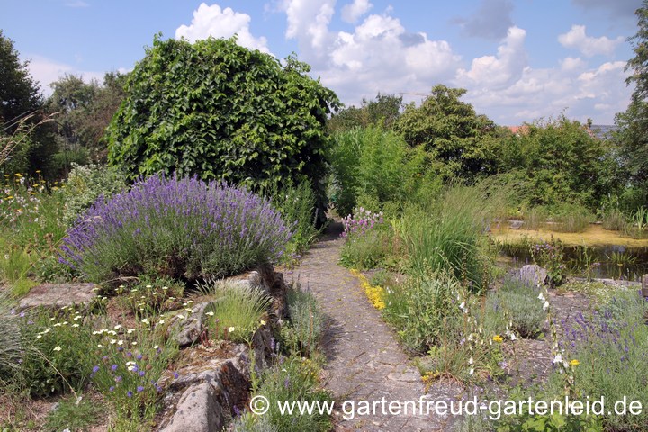 Links der Steingarten, rechts der Teich