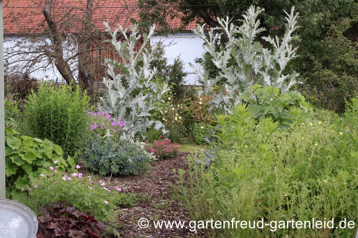 Nur ein Rindenweg trennt Wildnis und angelegte Fl&auml;che