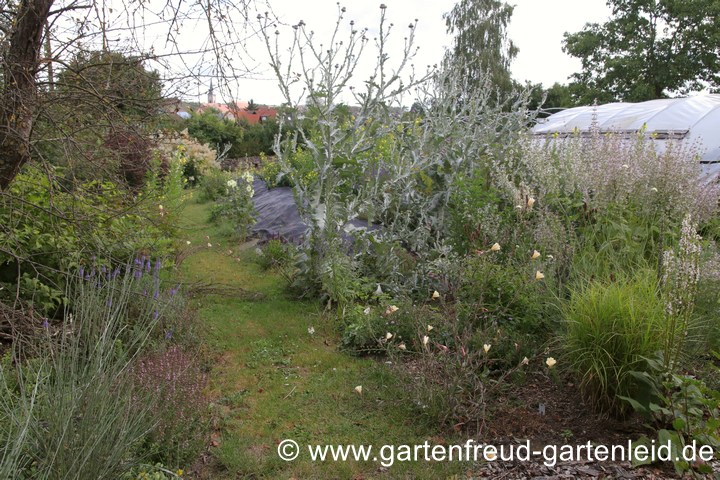 Am Kompost entlang: einer der wenigen Graswege