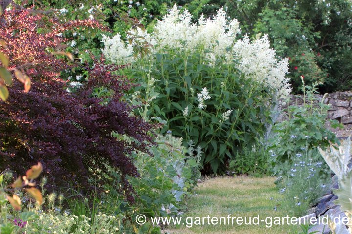 Am Kompost entlang: einer der wenigen Graswege