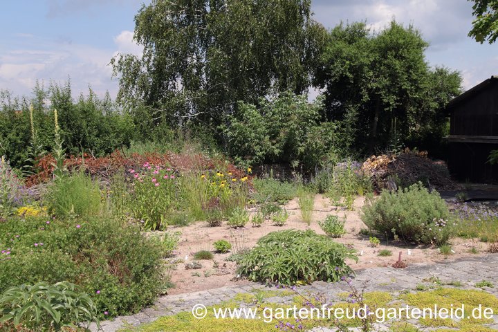 Sand als Mulchschicht ist ein beliebtes Katzenk