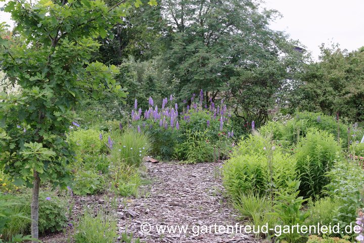 &ldquo;Wegenetze&rdquo; im Garten lenken die Blicke