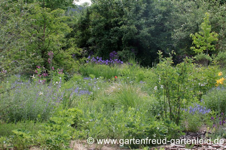 Eine Freifl&auml;che im Mai