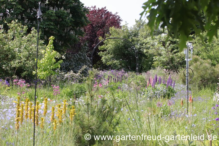 Eine Freifl&auml;che im Mai