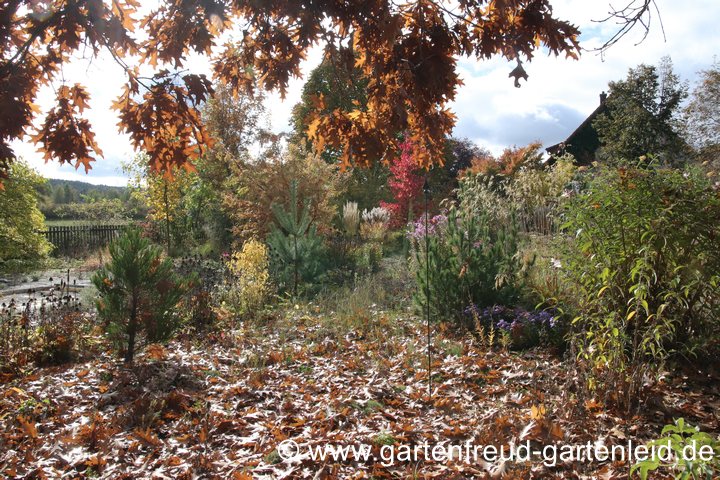 Eine Freifl&auml;che im Oktober