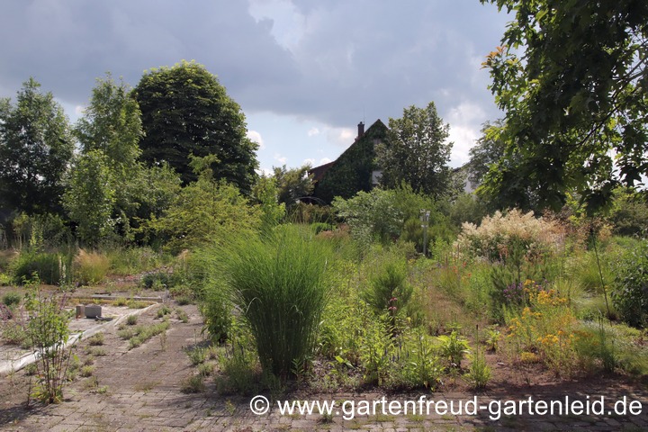 Noch nicht entschieden: W&auml;ldchen oder Staudenfl&auml;che?
