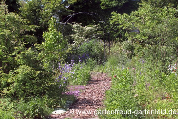 Noch nicht entschieden: W&auml;ldchen oder Staudenfl&auml;che?