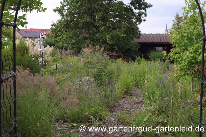 Kein dichter Bewuchs, deshalb unsere beliebteste Wildbienen-Nistfl&auml;che