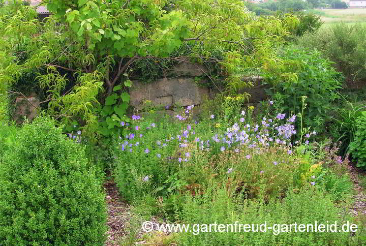 Der Kräutergarten