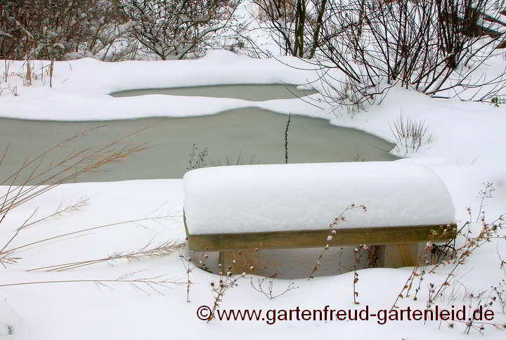 Teich im Schnee