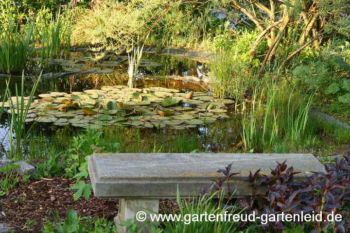 Steinbank am Teich