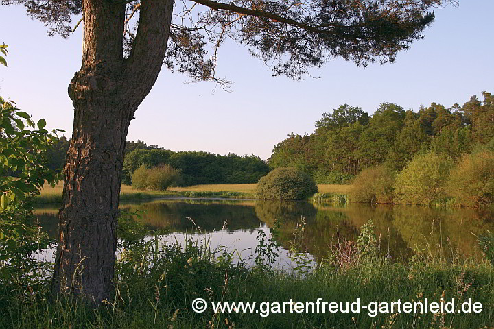 “Bäckenweiher” in Keidenzell