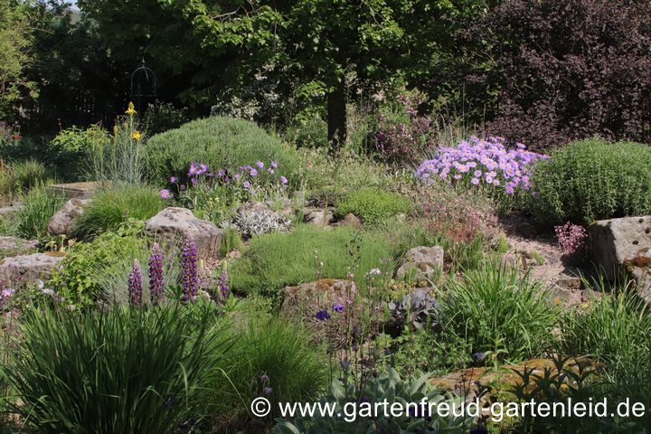 Steingarten im Fr&uuml;hjahr
